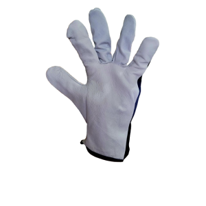 R  rękawice    kozia skórka   bez rzepa 10 oci.